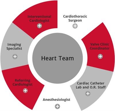 Towards Sustainable Open Heart Surgery in Zimbabwe